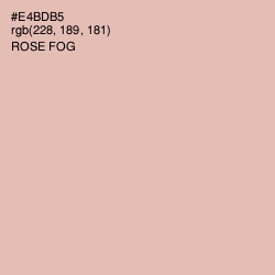 #E4BDB5 - Rose Fog Color Image